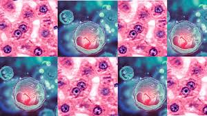 2025.1 8751 HISTOLOGIA E EMBRIOLOGIA